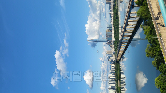 부처님 오신날 황금연휴. 지리하게 내린 빗줄기 만큼이나 아쉬움이 컸다. 한꺼번에 보상하려 했던 것일까. 대체공휴일이자 연휴 마지막날인 29일, 자연은 파아란 하늘을 선물했다. 시리도록 파란 하늘에 자칫 눈을 다칠까 걱정한 때문일까.  희디 흰 구름꽃 몇 송이도 살포시 올려놓았다. 한강은 그 하늘을, 그리고 인간의 탐욕마저  온몸으로 감싸안았다.  서울 광진구 구의동 테크노마트 하늘정원. 강건너 롯데타워와 잠실 아파트 단지, 그리고 한강을 남북으로 잇는 잠실철교의 모습을 휴대전화 카메라에 담았다.           독자 김용진 씨 제공